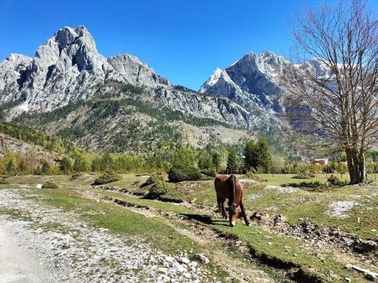 Bujtina Arlindi Valbone Exterior foto