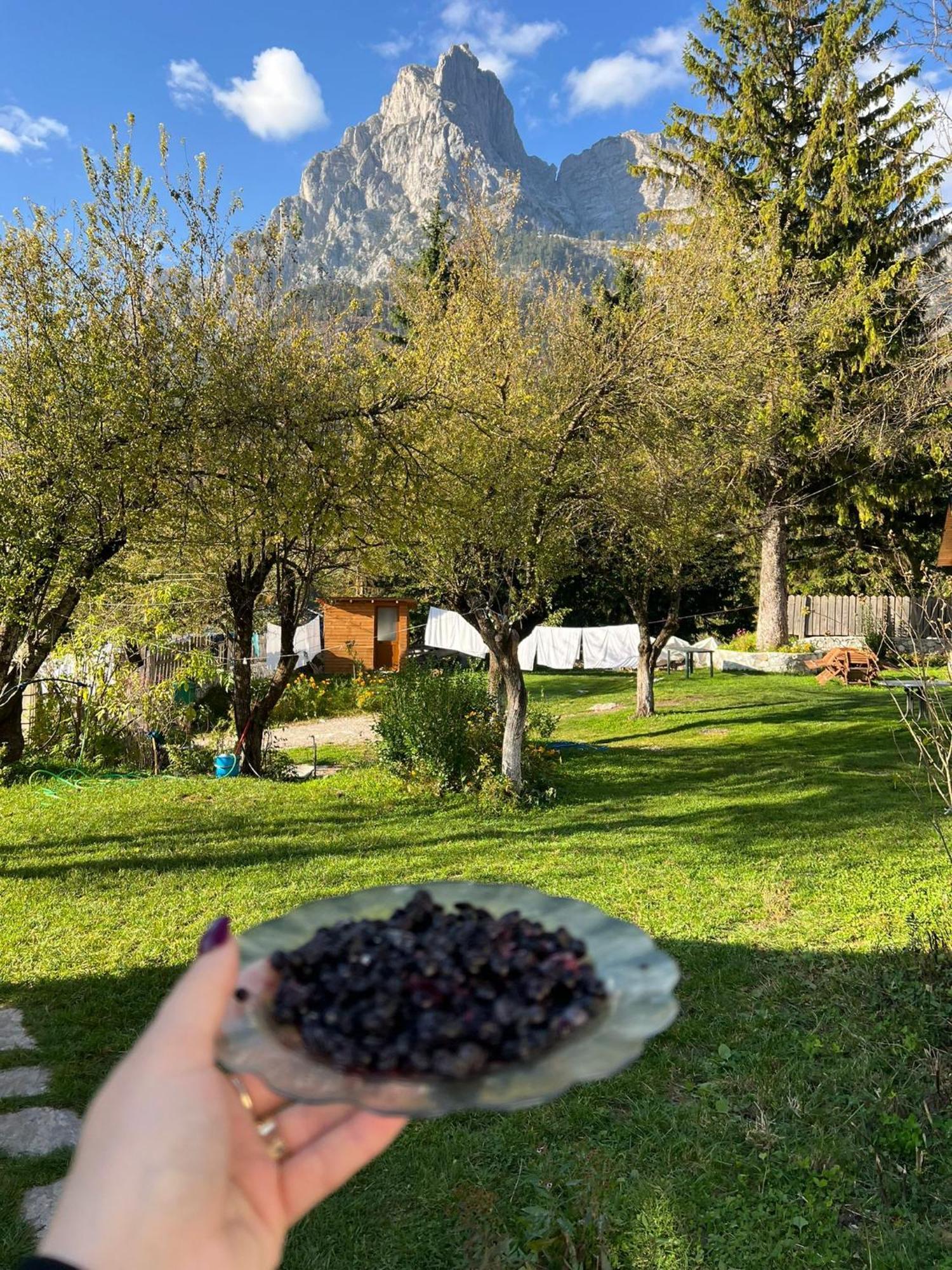 Bujtina Arlindi Valbone Exterior foto
